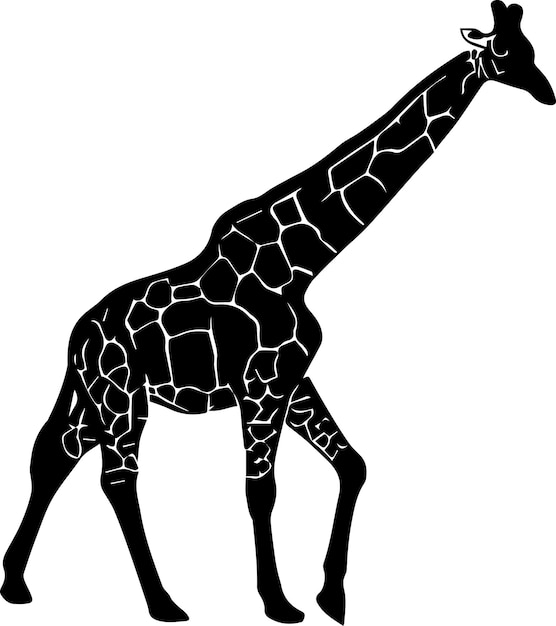 Vecteur girafe vecteur silhouette illustration couleur noire