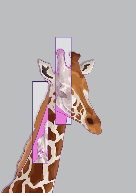 Vecteur girafe