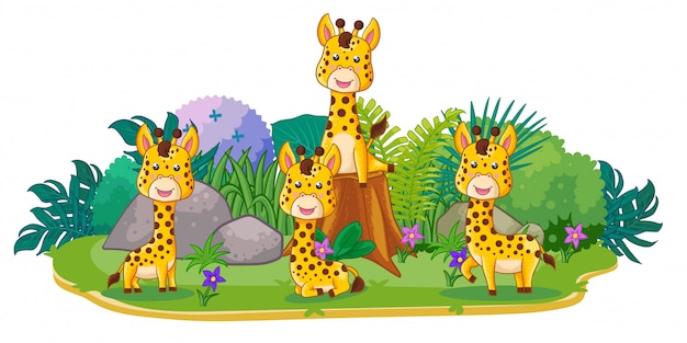 Les Girafes Jouent Ensemble Dans Le Jardin