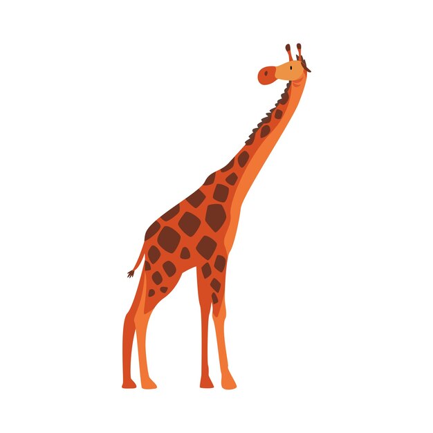 Vecteur giraffe mignonne, animal de la jungle, safari africain, voyage, dessin animé, illustration vectorielle sur fond blanc
