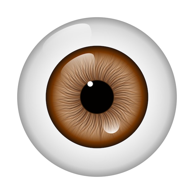 Vecteur globe oculaire brun isolé sur fond blanc