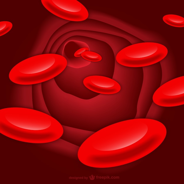 Globules Rouges Vecteur Art