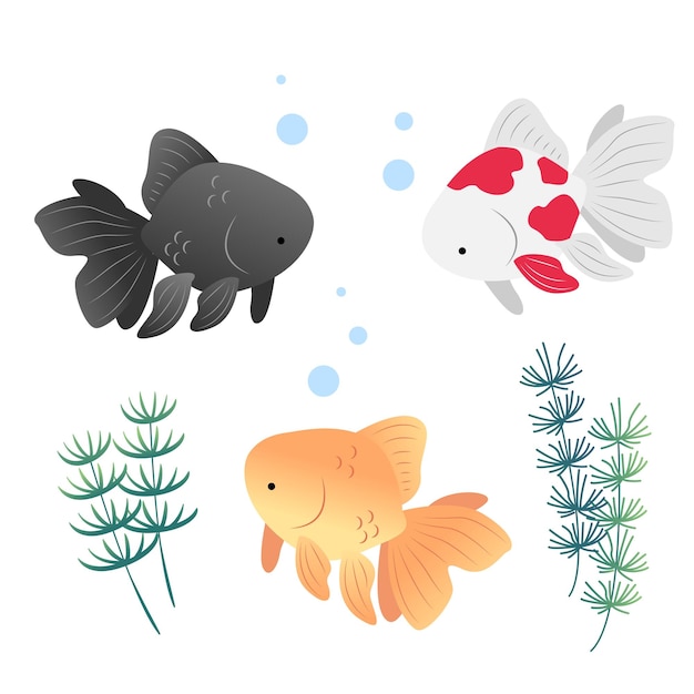 Goldfish