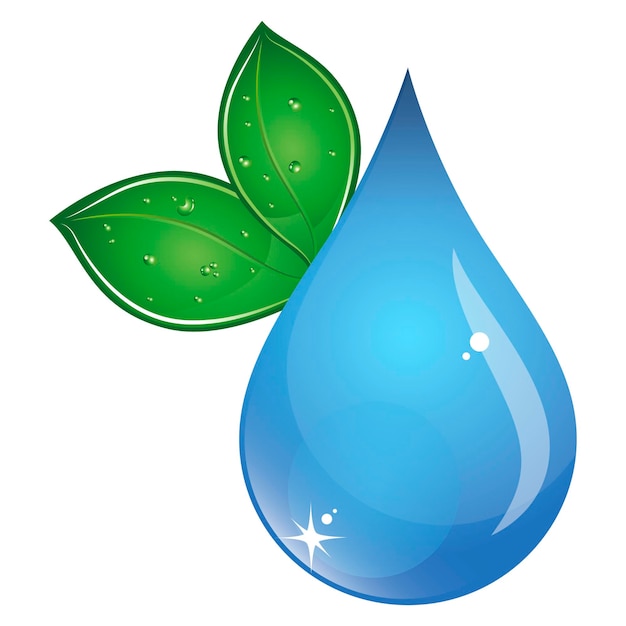 Goutte d'eau et feuilles vertes Filtration écologique et purification de l'eau
