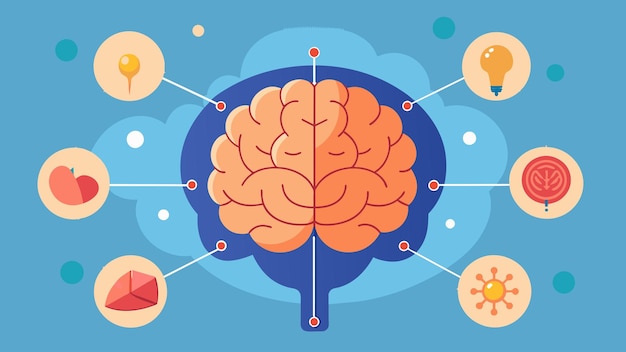 Vecteur grâce à la cartographie cérébrale, les scientifiques sont capables d'identifier les emplacements exacts dans le cerveau qui