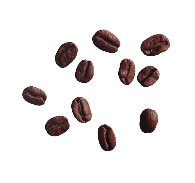 Vecteur grains de café