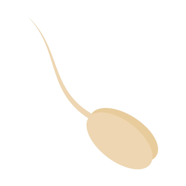 Grains germinés avec racine aliments sains concept d'élément de conception isolé dans un style minimaliste à la mode