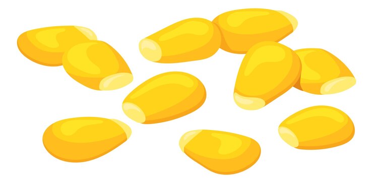 Vecteur grains de maïs crus graines de maïs jaune de dessin animé
