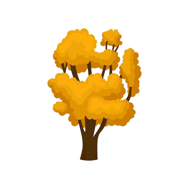 Grand arbre avec de nombreuses branches et feuillage orange vif Élément de dessin animé d'un parc forestier ou d'un jardin Objet naturel pour jeu mobile Icône vectorielle colorée de style plat isolée sur fond blanc