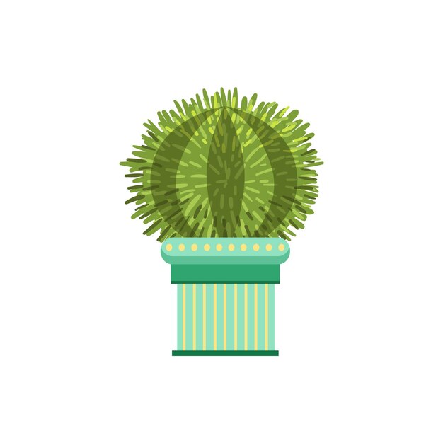 Grand cactus en forme de globe dans un pot