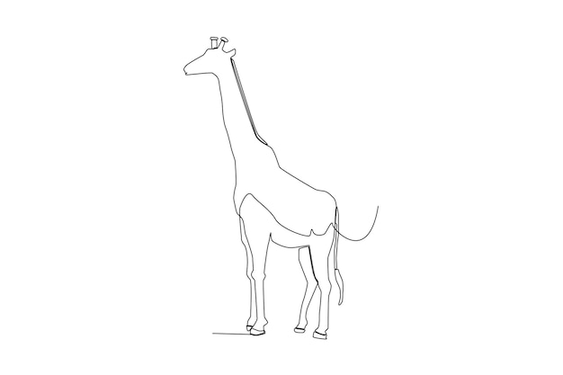 Un Grand Dessin Au Trait Girafe