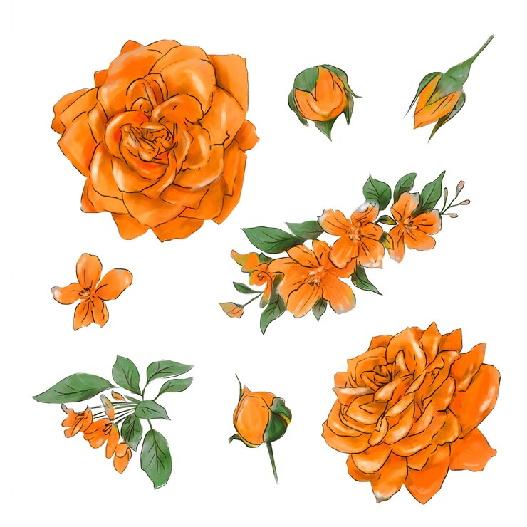 Vecteur grand ensemble d'aquarelles roses tendres super qualité.