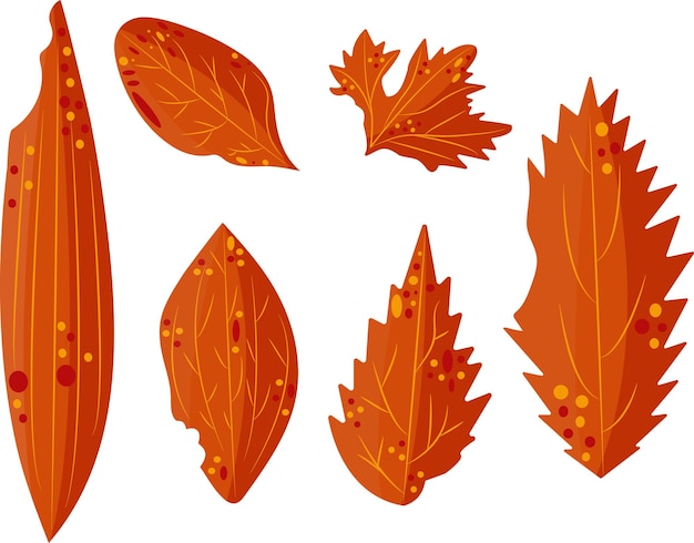 grand ensemble de divers feuilles d'automne en couleur rouge de divers arbres et arbustes dans le style abstrait