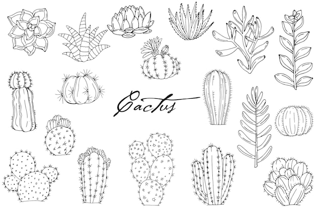 Grand ensemble d'éléments avec des cactus dessinés à la main sur fond blanc Icônes vectorielles dans le style de croquis noir et blanc Objets isolés dessinés à la main