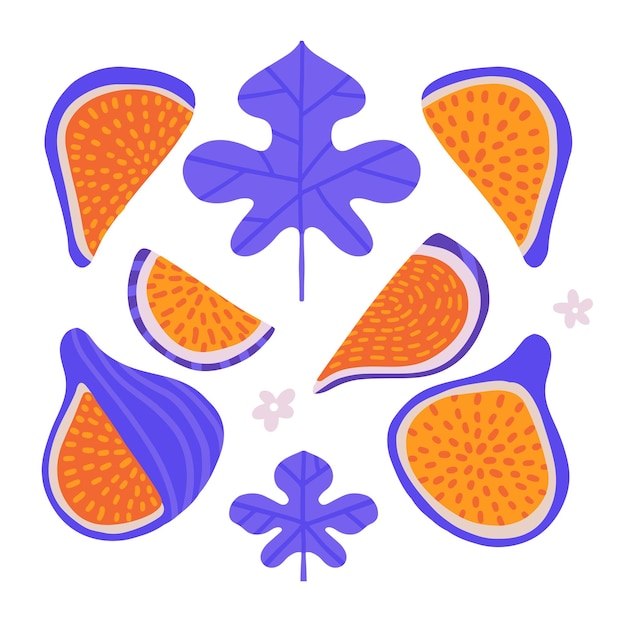 Grand Ensemble De Fleurs Et De Feuilles De Figues Entières Et Tranchées Isolées éléments Alimentaires Tropicaux Dans Un Appartement Moderne