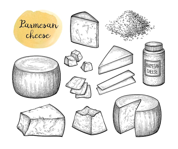 Grand Ensemble De Fromage Parmesan Croquis à L'encre Isolé Sur Fond Blanc Illustration Vectorielle Dessinés à La Main