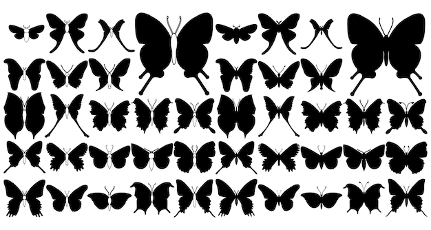 Grand Ensemble De Papillons Sur Fond Blanc Dessinant Des Silhouettes D'insectes Décoratifs Vecteur De Dessin à La Main