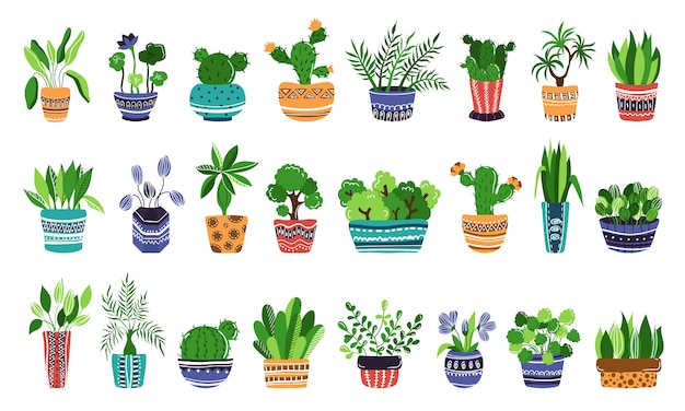 Grand Ensemble De Plantes En Pot Ou De Fleurs En Pots