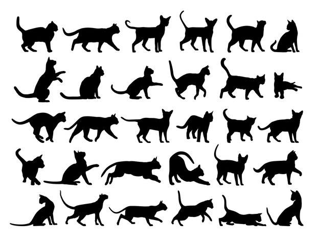 Le grand ensemble de silhouettes de chats domestiques