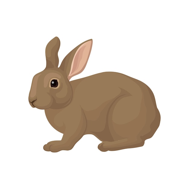 Grand Lapin Domestique à Fourrure Brune Mammifère Plantant Avec De Longues Oreilles, De Longues Pattes Postérieures Et Une Queue Courte Vecteur Plat Pour Affiche D'animalerie