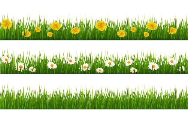Grande collection d'herbe verte et de fleurs