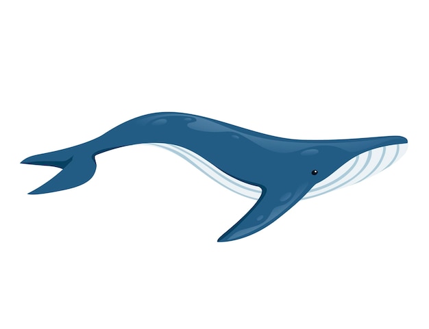 Grande conception d'animaux de dessin animé de baleine bleue plus grand mammifère sur l'illustration de vecteur plat de terre d'isolement sur le fond blanc.