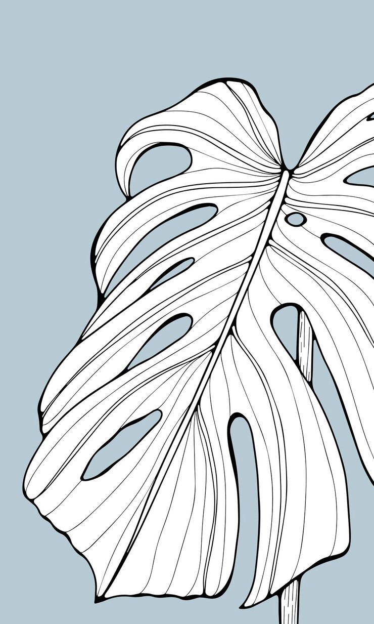 Vecteur grande feuille de monstera noire et blanche sur fond bleu pâle fond tropical pour livres à colorier décor cartes postales fonds d'écran et présentations
