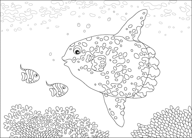 Grande Lune De Poisson Et Petits Poissons Papillons Nageant Au-dessus Des Coraux D'un Récif Dans Une Mer Tropicale