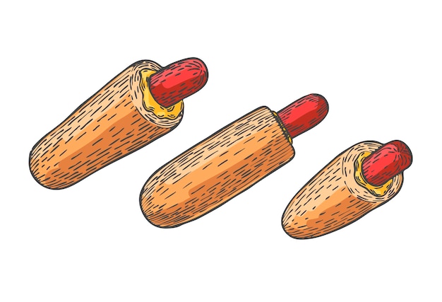 Graphique De Croquis De Couleur Hot Dog Français