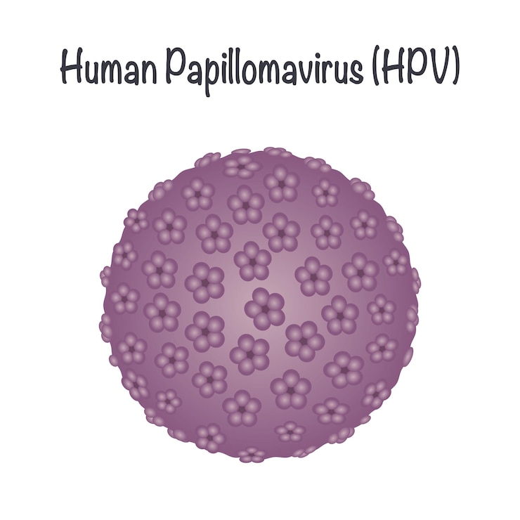 Vecteur graphique vectoriel hpv du papillomavirus humain