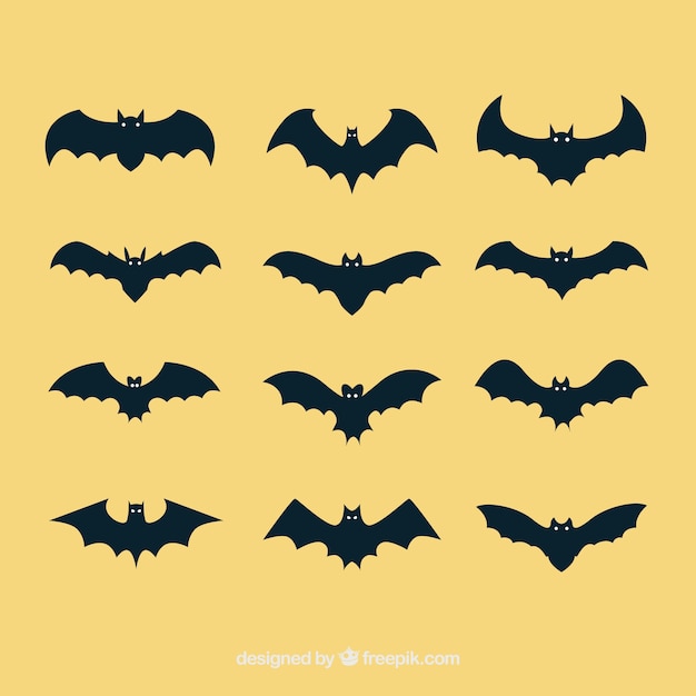 Graphiques Vectoriels Bat