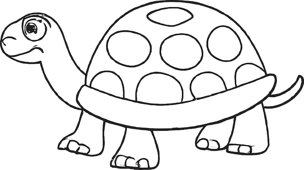 Vecteur graphiques vectoriels de tortues pour les thèmes de la science et de la recherche