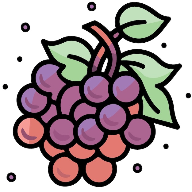 Grappe de fruits de raisins violets