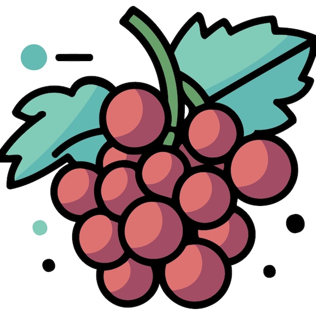 Grappe de fruits de raisins violets