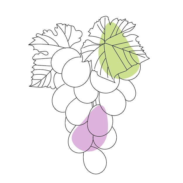 Grappe de raisin vector illustration dessin au trait abstrait raisins noir et blanc