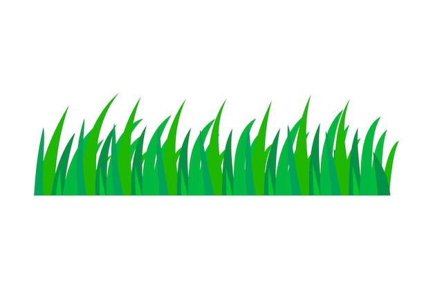 Grass