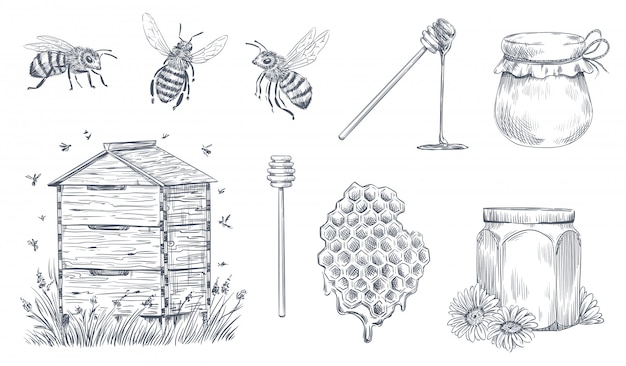 Gravure D'abeilles. Apiculture Dessiné à La Main, Ferme De Miel Vintage Et Pollen D'abeille Miel Vector Illustration Set