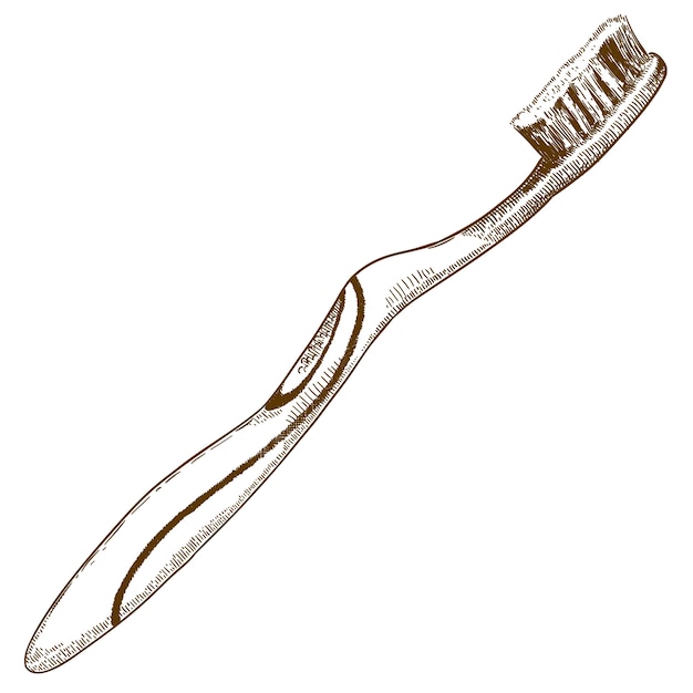 Gravure illustration de brosse à dents