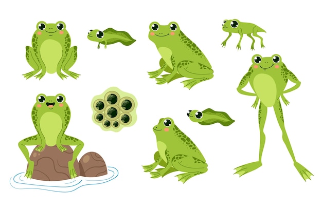 Grenouille crapaud personnages animaux isolés ensemble illustration d'élément de conception graphique