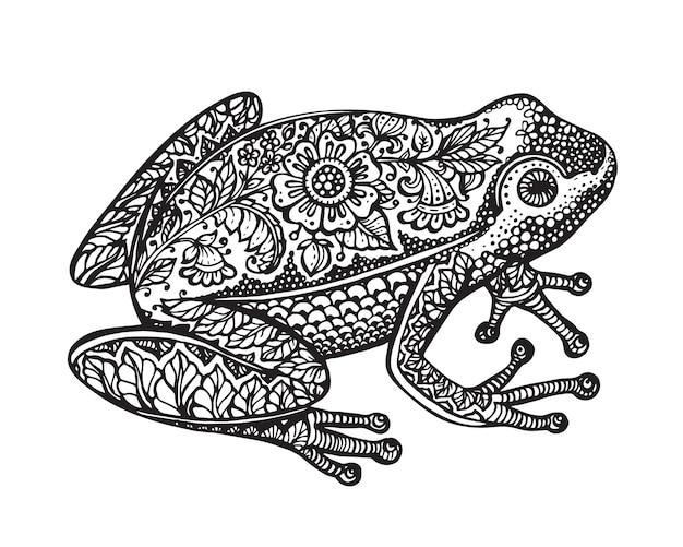 Grenouille De Doodle Ornée Dessiné Main Noir Et Blanc Dans Un Style Graphique Isolé Sur Fond Blanc