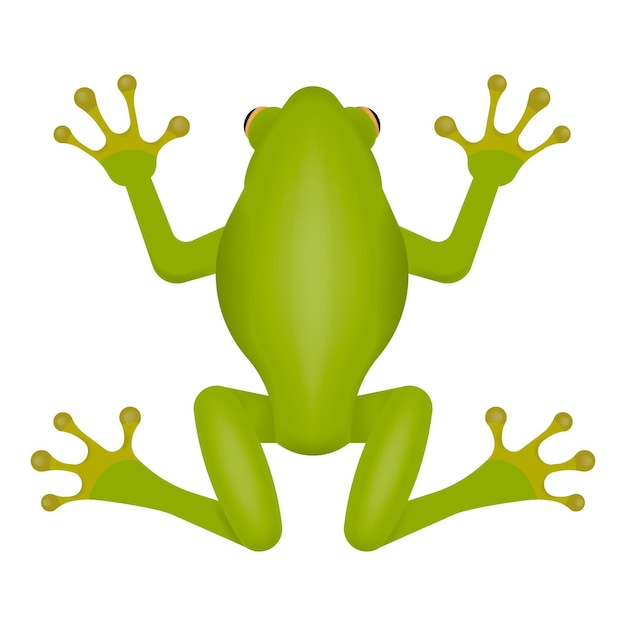 Vecteur grenouille verte isolée sur fond blanc illustration vectorielle