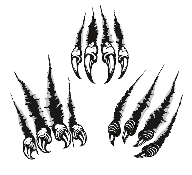Vecteur la griffe de monstre marque les rayures avec de longs ongles
