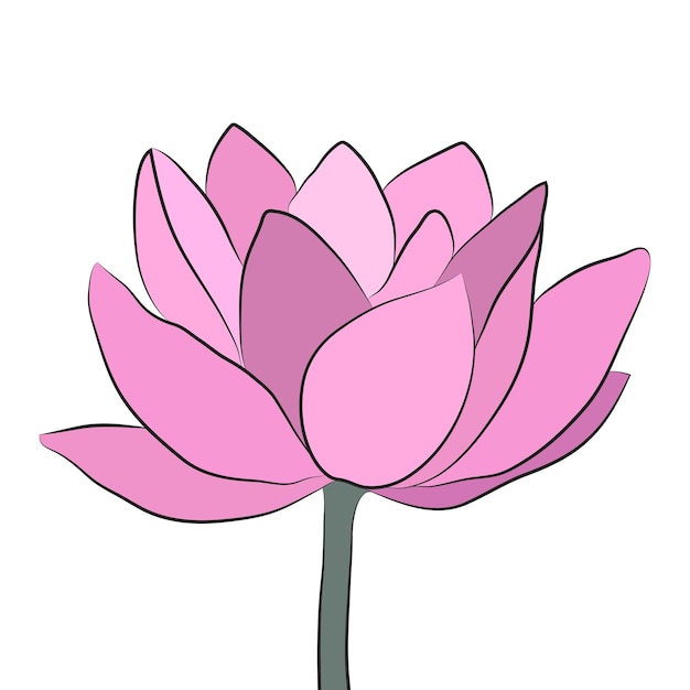 Gros Bourgeon De Lotus En Fleur Fleur De Lotus Ouverte Pour Cartes Et Invitations Yoga Et Méditation