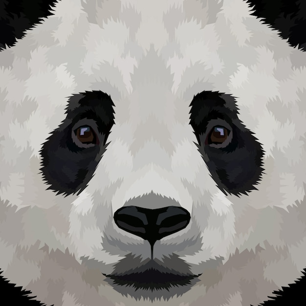 Gros Plan Visage Panda