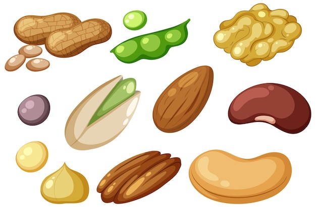 Groupe d'aliments protéinés