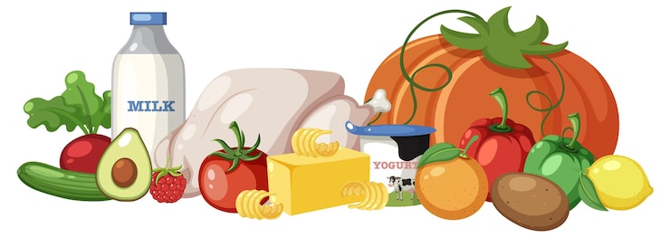 Vecteur groupe d'aliments sains dans l'illustration vectorielle