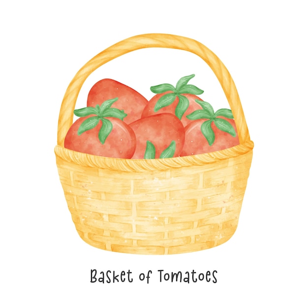 Groupe D'aquarelle De Légumes Tomates Rouges En Dessin Animé De Vecteur De Panier En Osier Vintage En Bois