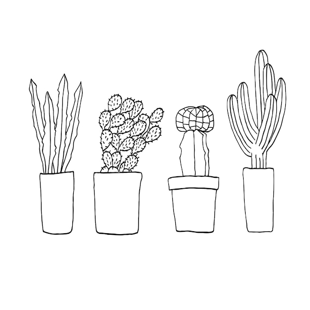 Groupe De Cactus Mignon Sur Fond Blanc Illustration Vectorielle Dessinée à La Main Dans Un Style Doodle Art