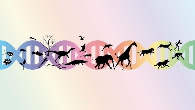 Groupe de différentes silhouettes d'animaux avec la spirale d'ADN Illustration vectorielle de l'évolution conc