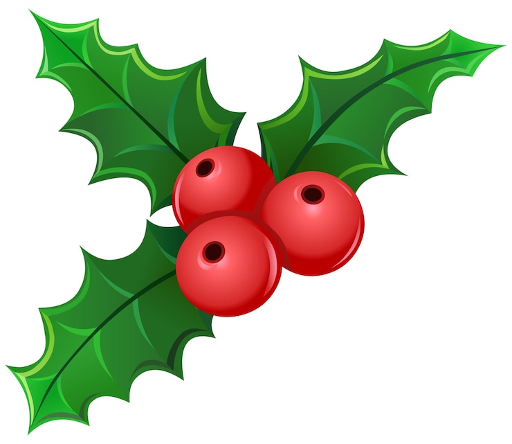 Vecteur le gui à baies de noël